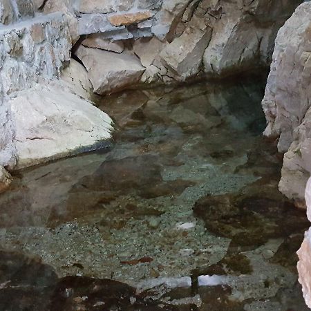 Nuci'S Home Glass Floor Tushemisht Ngoại thất bức ảnh