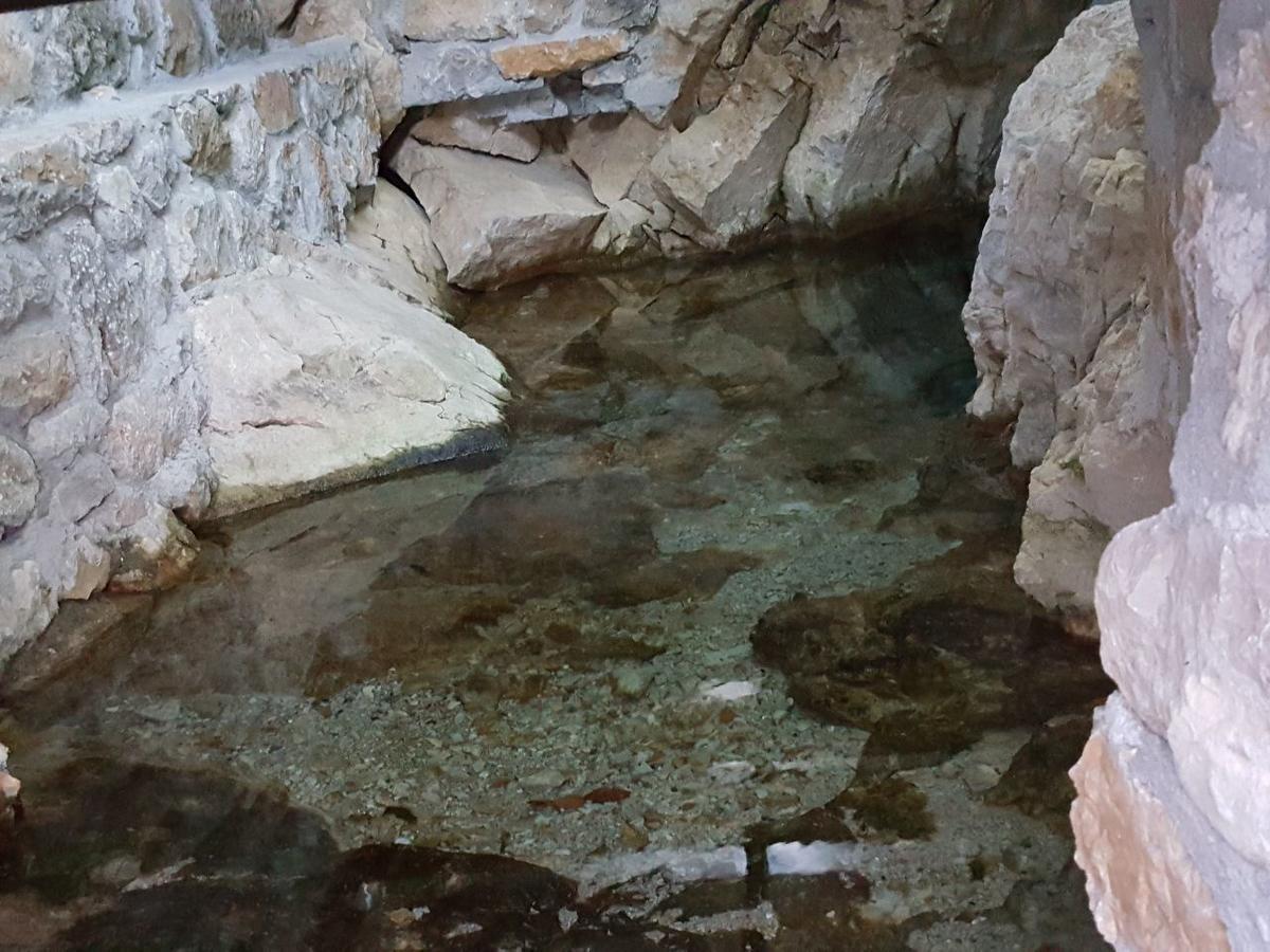 Nuci'S Home Glass Floor Tushemisht Ngoại thất bức ảnh